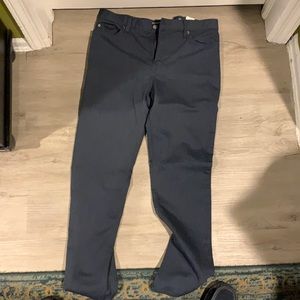 Banana Republic Traveler Jean